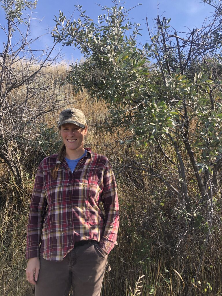 Field Program Manager Ellen Anderson stands in front of a silver buffaloberry shrub.
