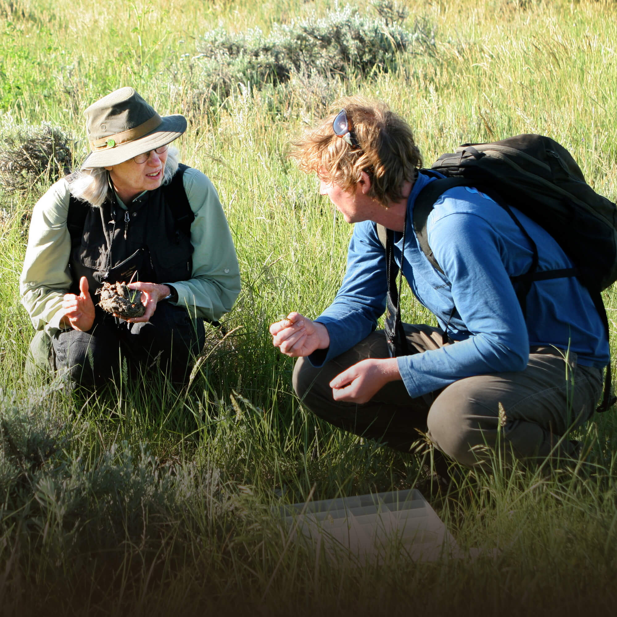 Wild About Conservation
