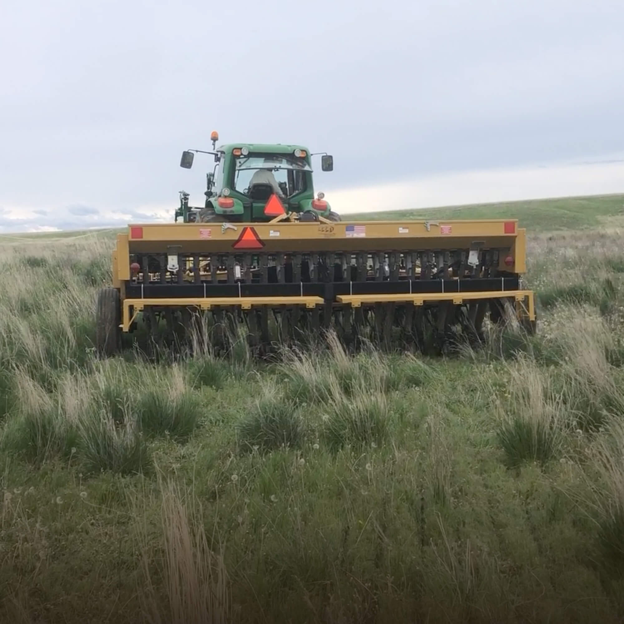 Wild About Grasslands