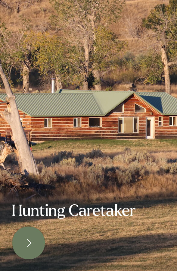 Volunteer | Hunting Caretaker