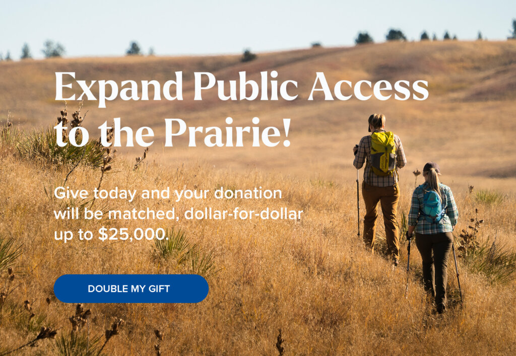 Link to spring appeal donation page.